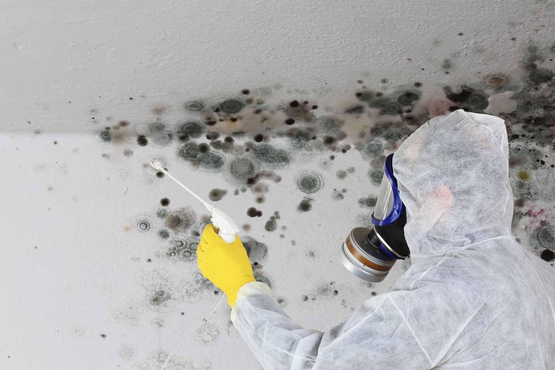 Technician removing black mold with protective gear in Michigan