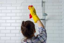 Bathroom and kitchen mold cleanup for Michigan homes