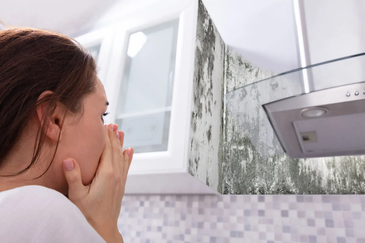 Mold odor control and prevention plan in Michigan