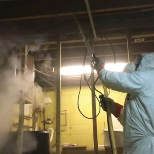 Basement mold removal and remediation process